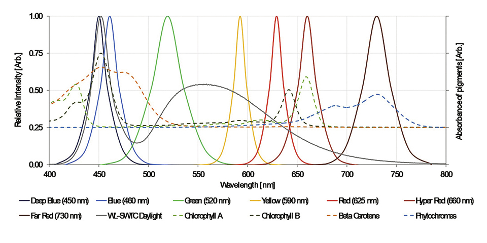 Figure 2.jpg