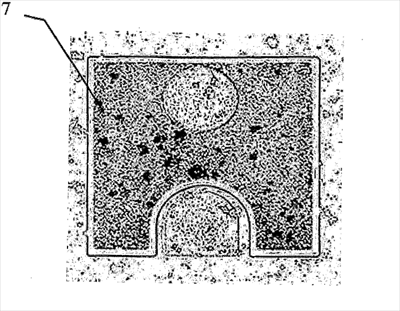 SEM image of a light extracting LED