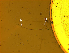 Micrograph of a complete nanowire LED. The long nanowire (A) is about 110 micrometers long, a shorter nanowire (B) crosses it. The circular section is the metal post from which the nanowires are aligned.