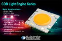 Prolight Opto COB Light Engine (Chip On Board) Series Prolight Opto COB Light Engine (Chip On Board) Series