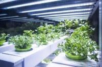 TE Connectivity at LFI - The Next Generation of Solutions for Horticultural Lighting