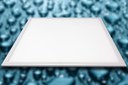Premium Lighting Solutions Launches First Waterproof Planar LED Fixture Premium Lighting Solutions Launches First Waterproof Planar LED Fixture