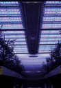 Bio-Effective Lighting for Humans, Livestock and Plants