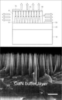 Method for manufacturing super bright light emitting diode of nanorod array having InGaN quantum well