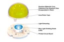 1000 Hour Quantum Dot LED Milestone Surpassed by Quantum Materials Corp